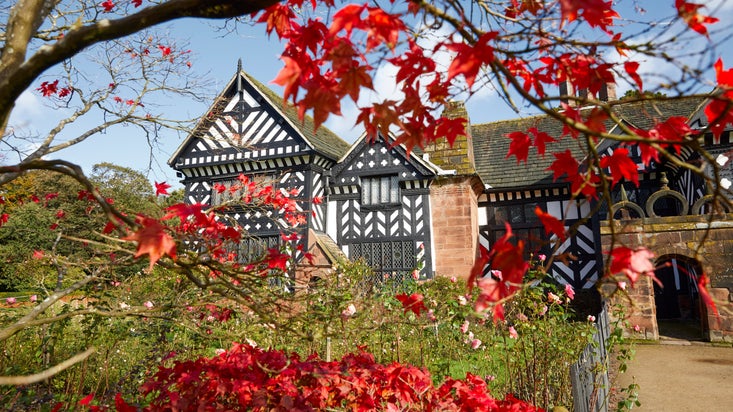 View of a black and white Tudor house seen through autumn trees